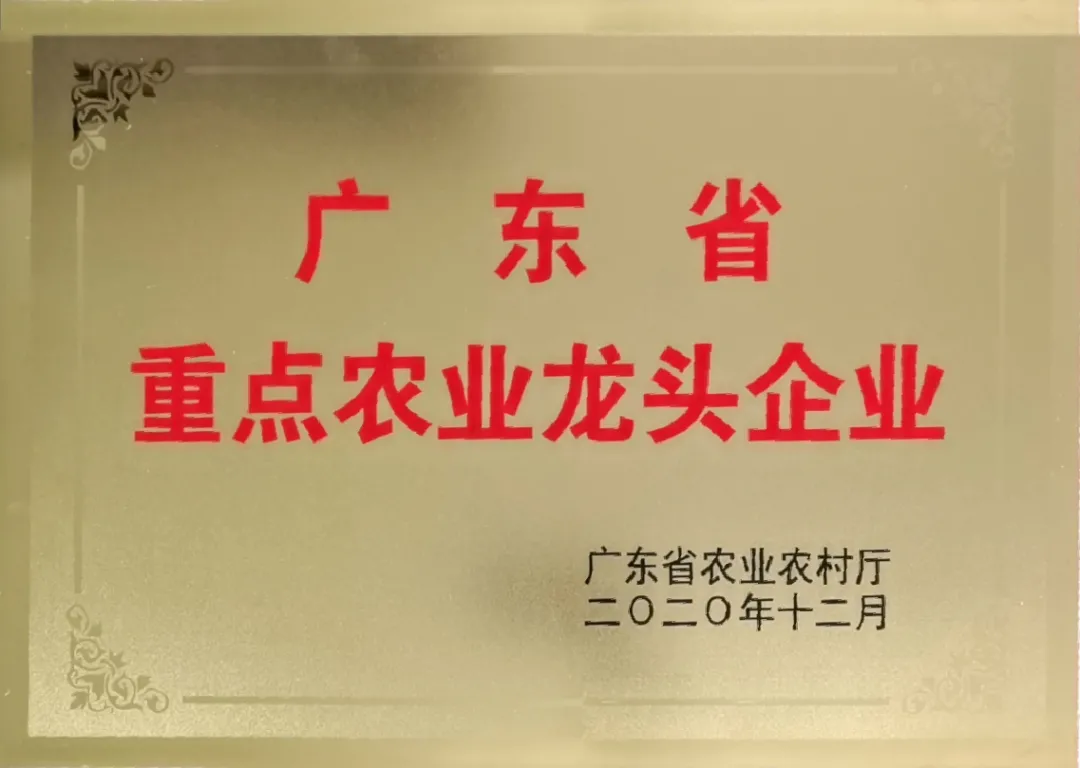 1610939261210929.jpg 1610939261210929.jpg